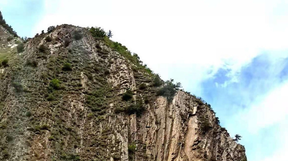 用黄瓜自慰爽爽免费观看旅途感受