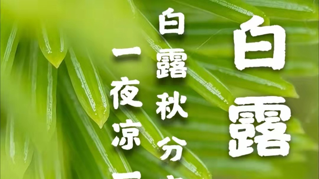 用黄瓜自慰爽爽免费观看包装黄瓜视频色色下载厂家：白露到，秋渐深