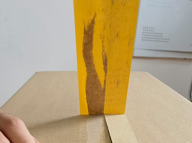 黄瓜视频色色下载